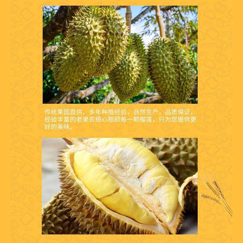 [榴莲先生][顺丰快递]速冻榴莲炸丸子 5盒 10粒/盒 休闲零食 小吃早餐糕点充饥