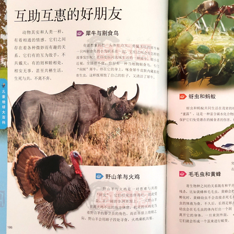 [醉染正版]正版 儿童地球大百科 写给儿童的科普类读物大百科全书 小学生初中生7-14岁少儿科学课外阅读书籍 探索地高清大图
