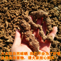 2018大别山野生 苍术 茅苍术 野南苍术无硫新货天然仓术 500g