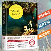 鲁滨逊漂游记正版精装鲁滨孙飘流记有声伴读注音版汤姆索亚历险记 汤姆索亚历险记