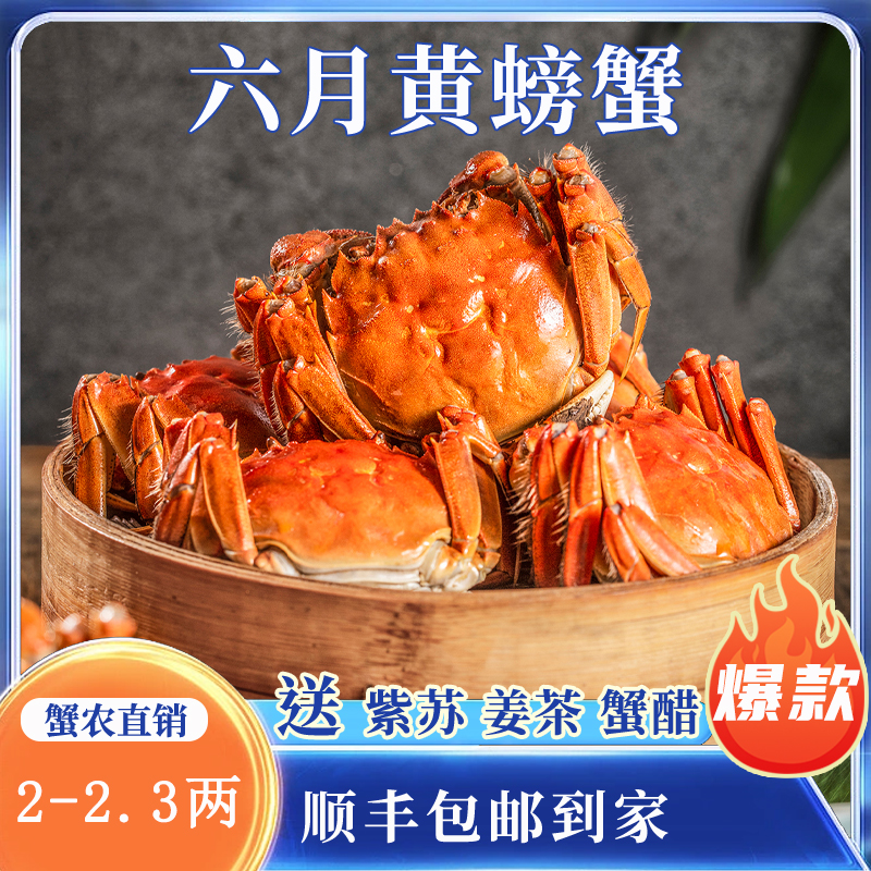 苏州精品大闸蟹鲜活六月黄螃蟹河蟹2两8只装公母随机大螃蟹鲜甜满黄直达到家死蟹包赔