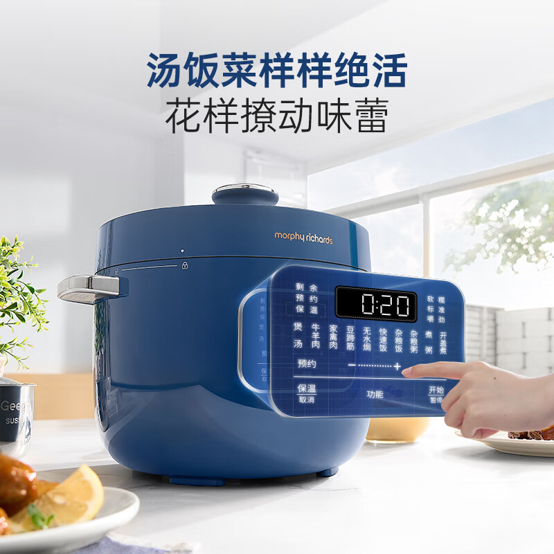 摩飞电器(Morphyrichards)电压力锅电饭煲家用2.5L迷你珐琅釉精釜多功能煲汤锅电火锅电煮锅MR8701