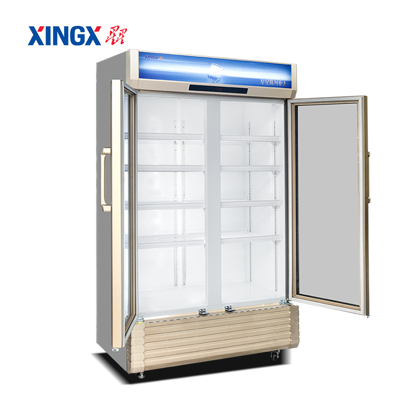 星星（XINGX）LSC-810WD 商用大容量双门立式冷柜无霜风冷陈列展示冰柜冷藏柜 金色