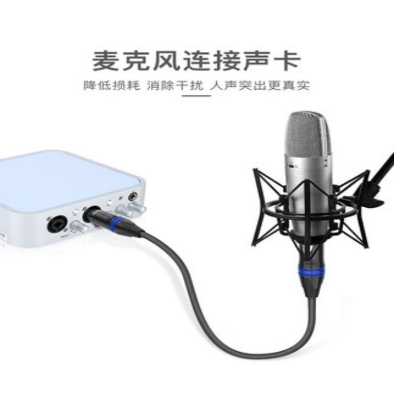 LAIZE 卡农线缆 1.5米