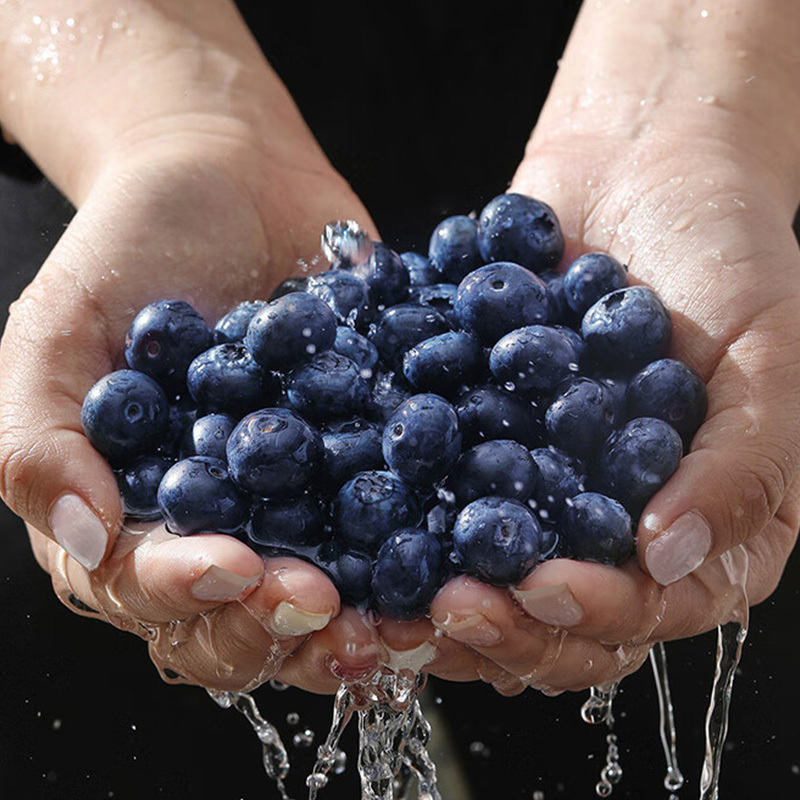 轻上叶黄素酯蓝莓酸奶多重发酵口感丰富220ml*10瓶高清大图