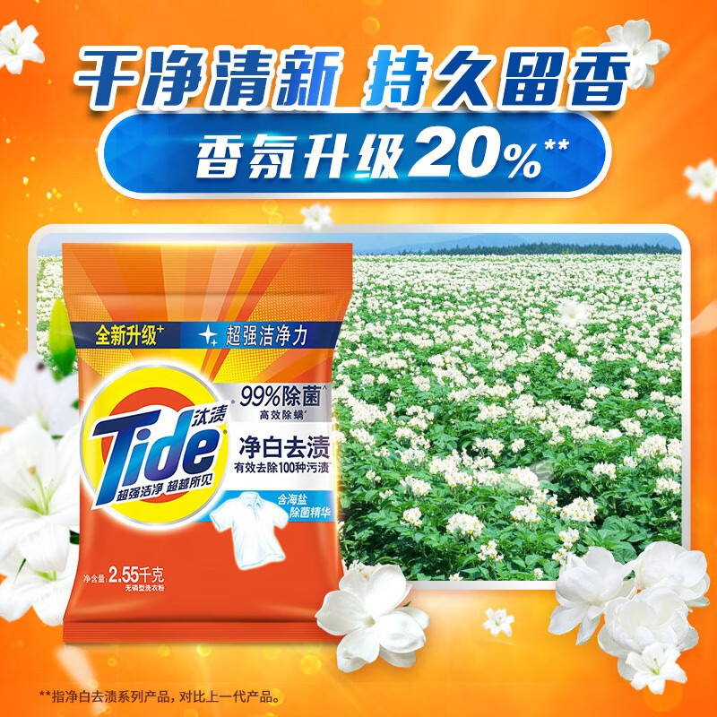 汰渍净白去渍洗衣粉2.55Kg