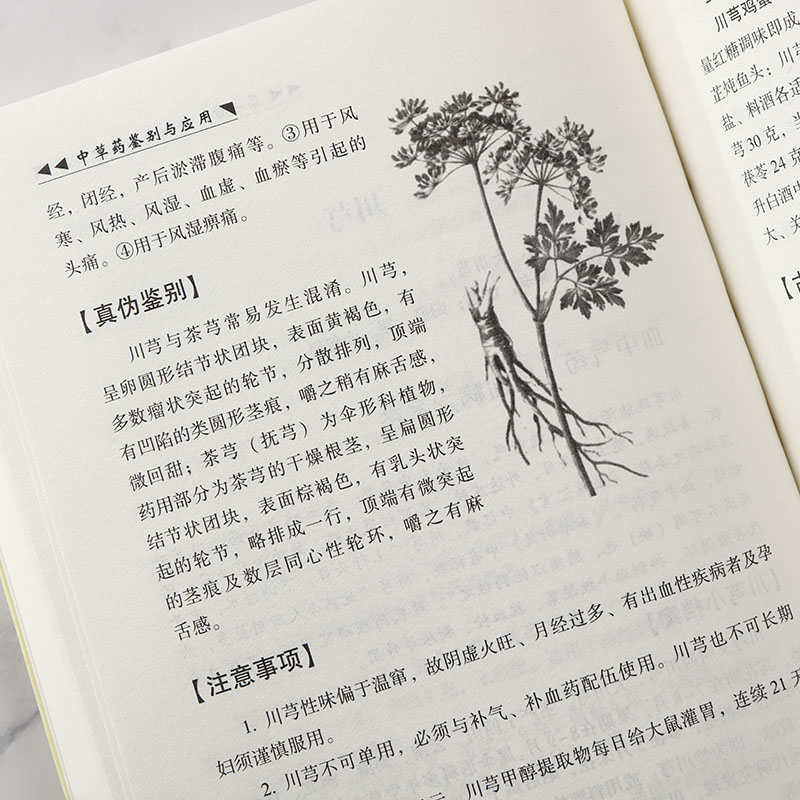 [醉染正版]正版全2册 中医自学百日通中医中草药书籍中草药鉴别与应用医药典籍中医养生保健学入门基础书籍中草药药理知识高清大图