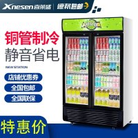 Xnesen喜莱盛680L商用展示柜全铜制冷饮料柜冰柜陈列柜商用冰箱双门展示柜饮料展示柜啤酒冰箱冷饮柜风冷草绿色