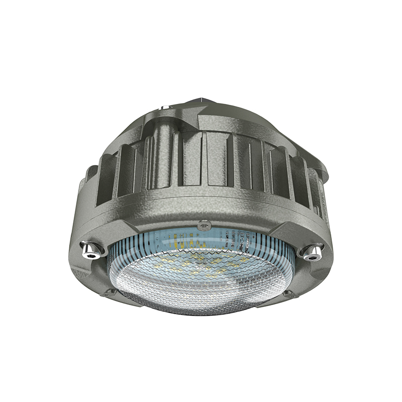 欧辉照明 (OHUIZAOMIN) LED防爆灯 OHBF9185 30W DC36V 台 灰色高清大图