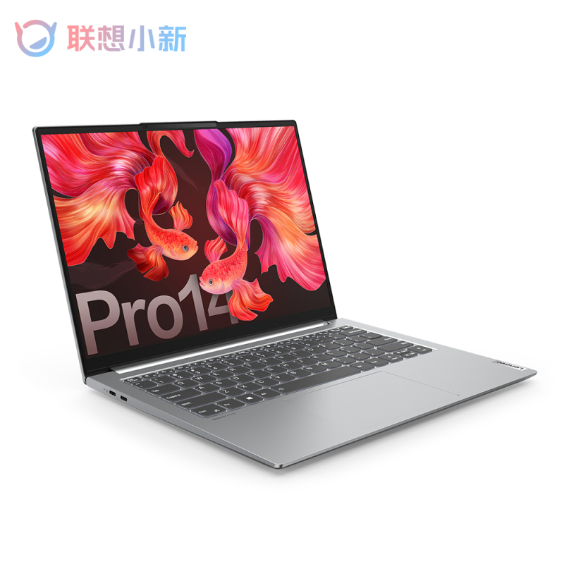 联想(Lenovo)小新Pro14标压锐龙版 高性能全面屏轻薄本笔记本电脑(8核16线程R7-5800H 16G 512G 2.2K 低蓝光 护眼屏)定制银