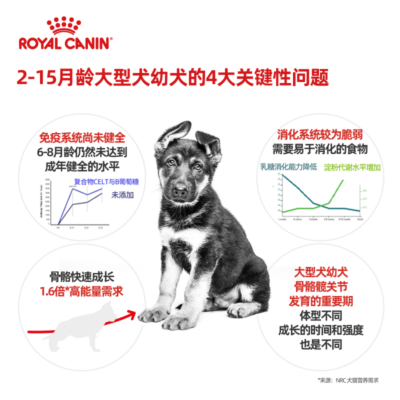 ROYAL CANIN 皇家狗粮 MAJ30大型犬幼犬狗粮 2-15月龄 全价粮 4kg 金毛拉布拉多阿拉斯加秋田马犬
