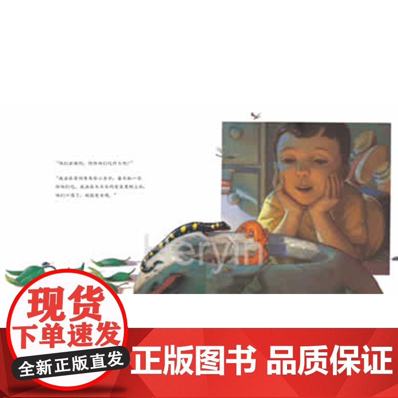 小蝾螈睡哪里硬壳精装绘本图画书和英正版童书高清大图