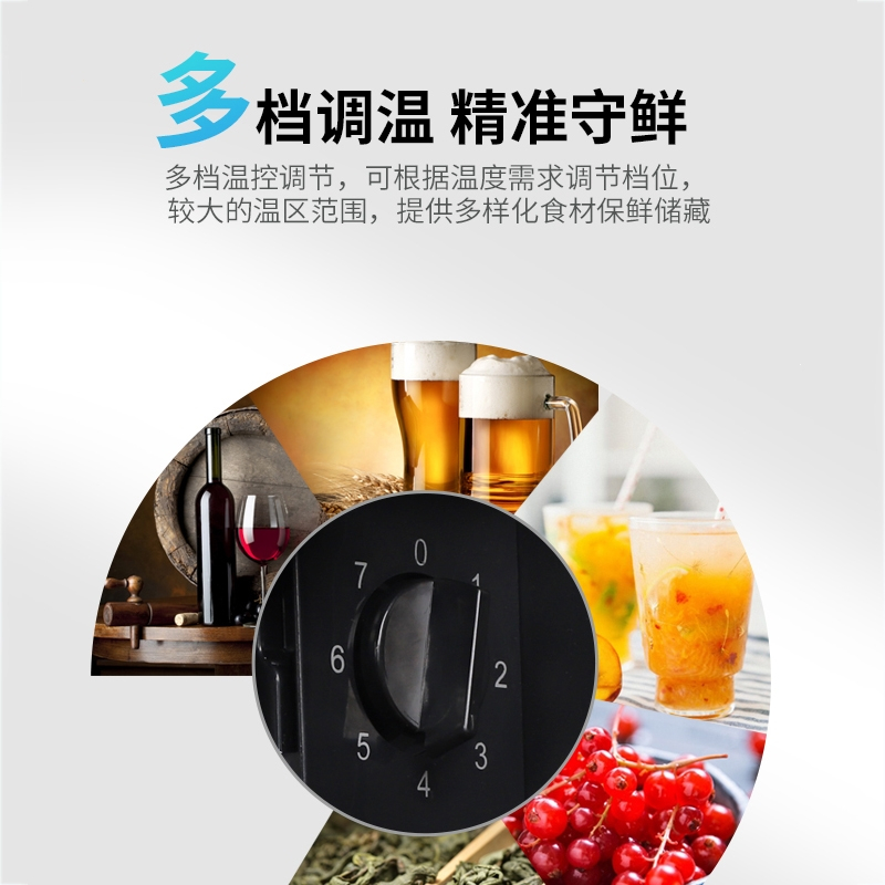 荣事达(royalstar)冰吧小型小冰箱单雪糕机