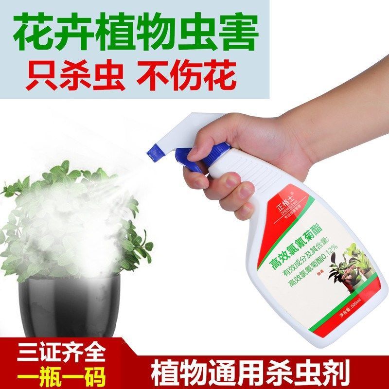 花盆小飞虫杀剂家用盆栽杀虫的室内除夏天里有怎么办专神器绿植植物杀虫剂红瓶报价 参数 图片 视频 怎么样 问答 苏宁易购