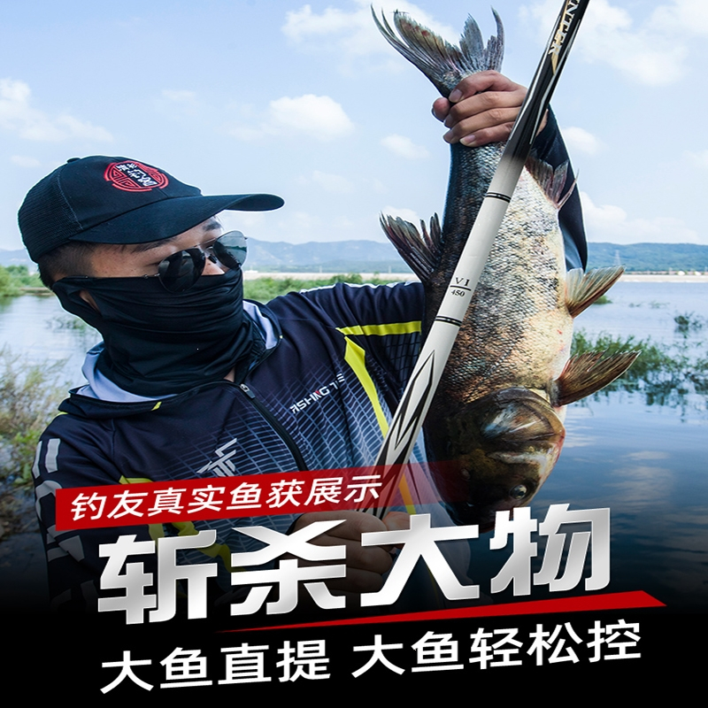 迈高登钓鱼竿手杆超硬19调碳素台钓竿大物杆鲤鱼鲫鱼竿渔具