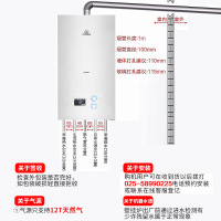 申花壁挂炉 超越者天然气燃气地暖暖气片锅炉 采暖生活热水恒温防冻家用两用炉 LIP20- NC(B)适用50-120㎡