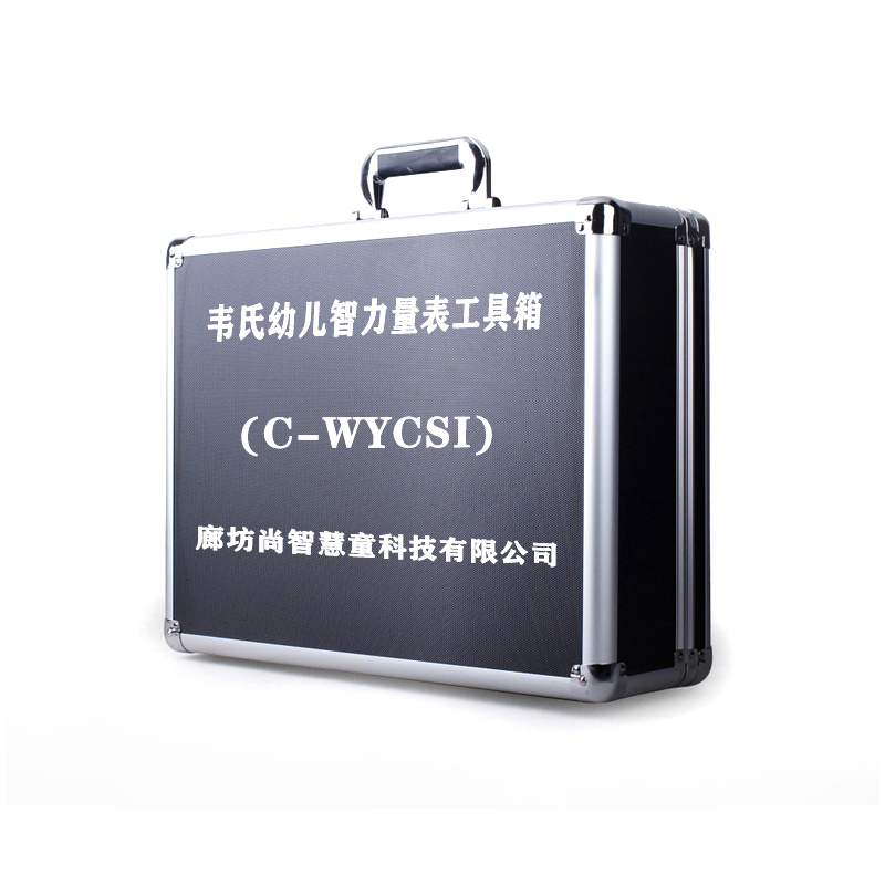 尚智慧童SZHT-WYSCI-CITY2 韦氏幼儿智力测评量表工具箱早教教具高清大图