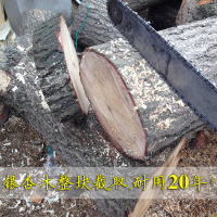 敬平(JING PING)泰兴银杏木砧板加厚圆形实木菜板原木家用整木刀板切菜板厨房菜墩 [38*7]去皮正圆加箍收藏送银