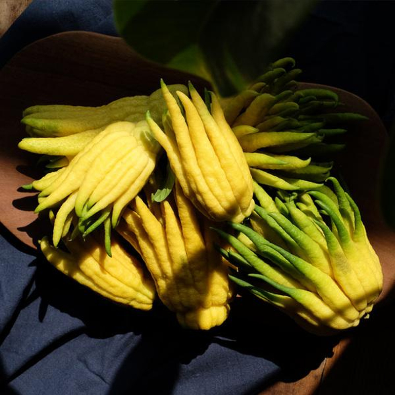 黄果中果1斤装34个果金华佛手果佛手柑佛手瓜佛手香橼观赏佛手黄果