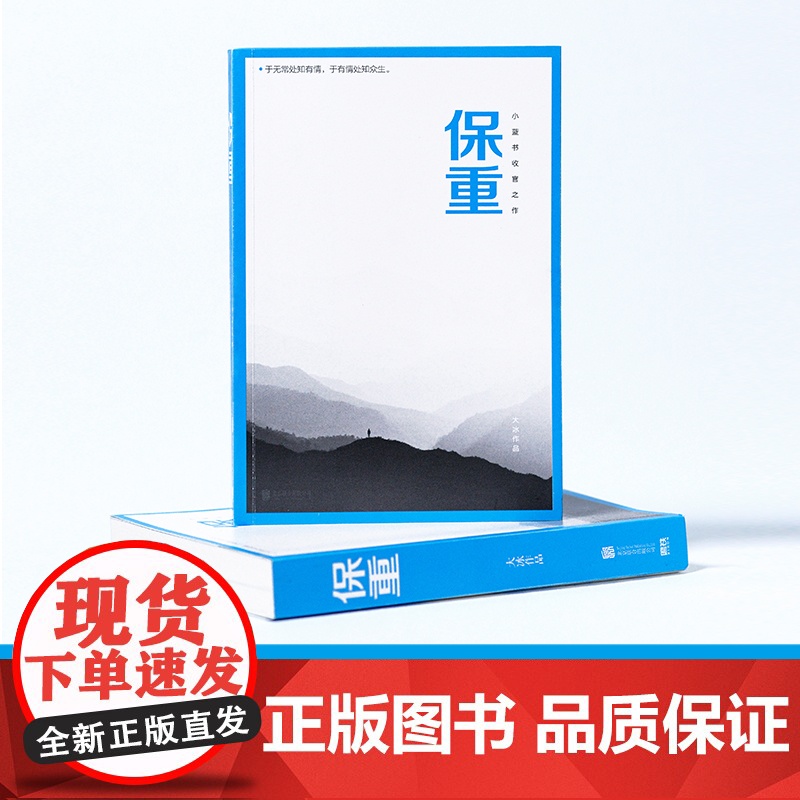 [正版]保重 大冰的新书阔别三年全新力作小蓝书系列收官之作啊2.0乖摸摸头小孩大冰作品集短篇小说书籍 正版高清大图