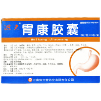 洪光 胃康胶囊 0.3g*36粒/盒慢性胃炎胃脘疼痛