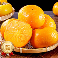 彩箱装【熊猫鸟】山西阳丰巧克力脆柿 新鲜水果 净重4.5斤 大果 当季黄甜硬柿子 脆甜新鲜