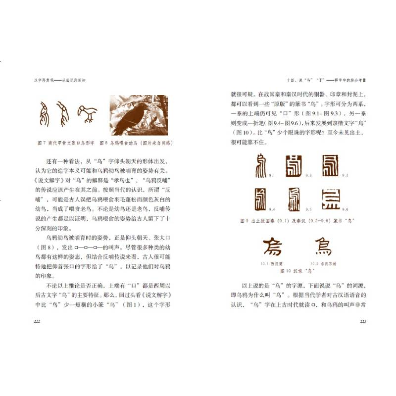 醉染图书汉字再发现 从旧识到新说9787547928844高清大图