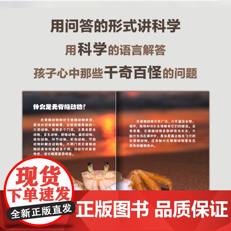 动物趣味千问千答.无脊椎动物问与答高清大图