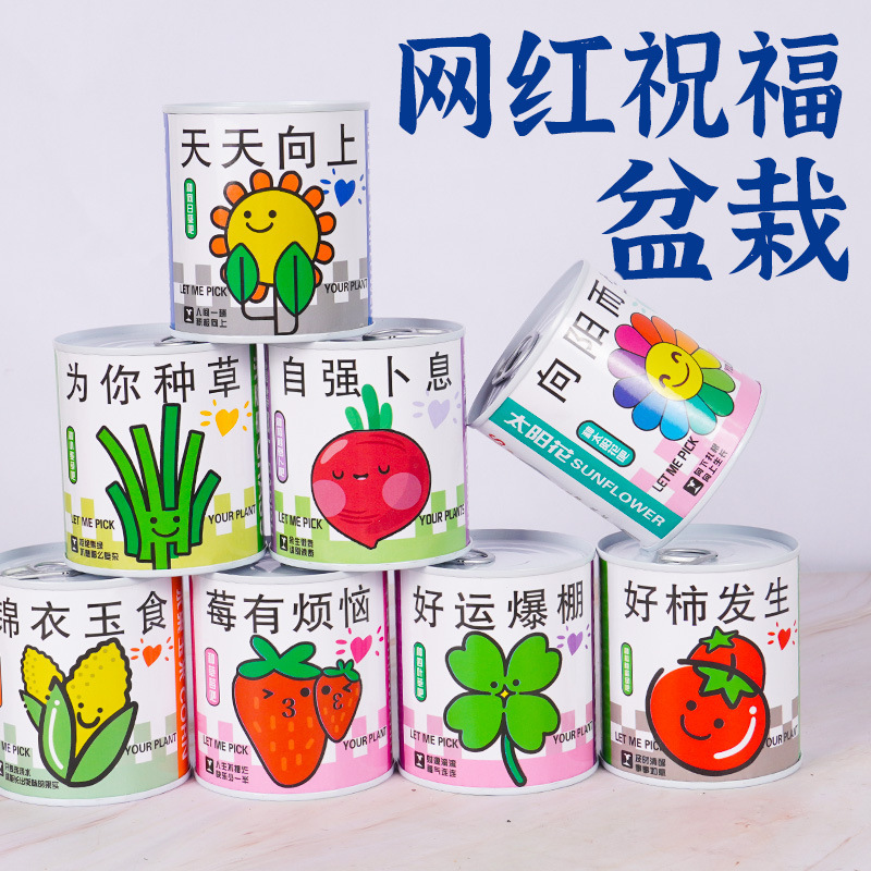 iChoice 易拉罐种植diy小盆栽桌面绿植栽培罐头植物网红祝福盆栽种子 款式随机20盆*
