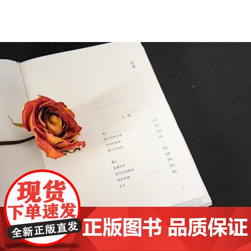 北去来辞 林白 著 林白代表作十周年纪念版 第九届茅盾文学奖提名奖 陈思和 张新颖 张莉 项静诚挚 中国当代小说高清大图