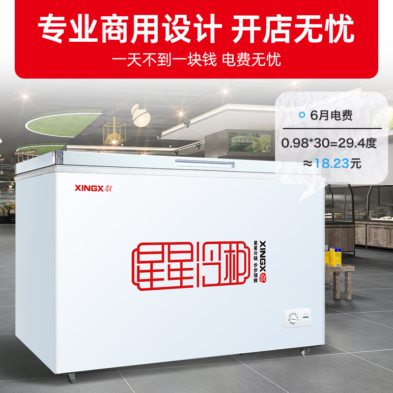 星星(XINGX)400升 商用冰柜冷藏保鲜强劲冷冻超市便利店大容量节能省电家商两用单温冷柜 BD/BC-400R高清大图