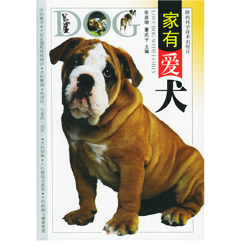 正版新书】家有爱犬张彦明 董武子9787536934474