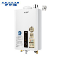 A.O.史密斯燃气热水器12L JSQ24-LSX