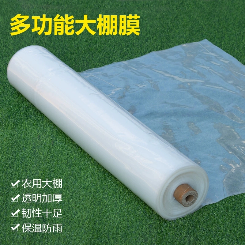 迅迈 PE塑料薄膜加厚大棚膜防雨布包装膜 6丝厚 [长160米宽3米]