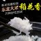 东北稻花香大米20斤[新米]批发金贝河长粒香珍珠香米大米10斤 金贝河稻花香10斤黄色