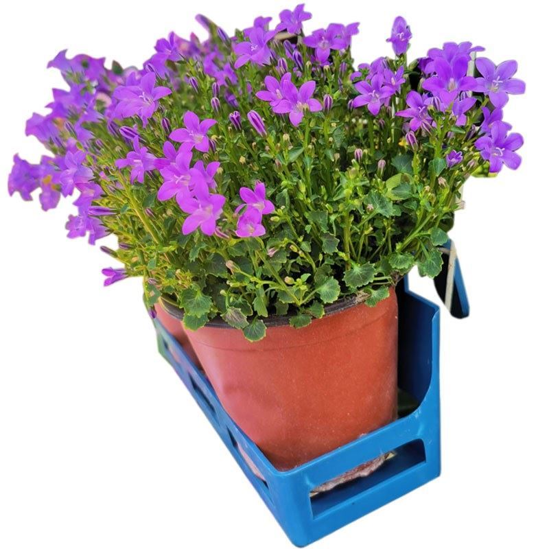 图书其它园艺报价_参数_图片_视频_怎么样_问答-苏宁易购