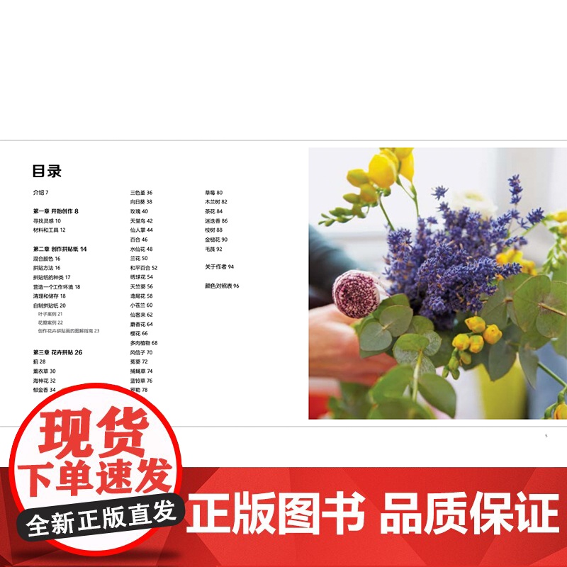 正版 创意植物拼贴画 轻松画生活 英特蕾西英格利希著 超过30个创意植物拼贴画练习 剪纸艺术 上海书画出版社高清大图