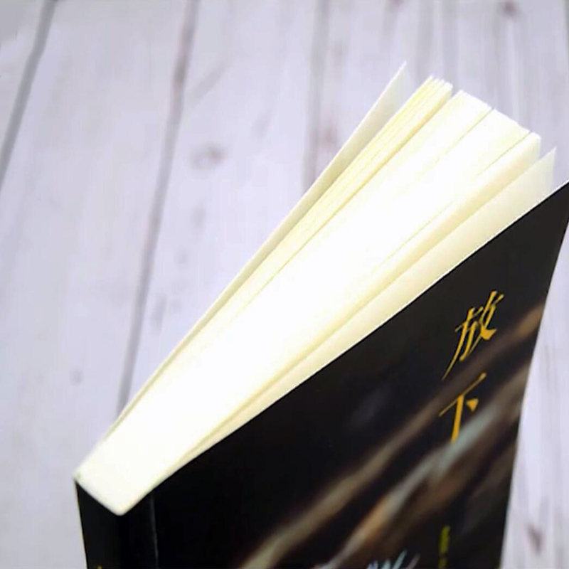 放下 [正版]放下书籍 人生哲学通俗读物不抱怨的爱上生命中的青春励志书籍书做心灵鸡汤正能量心态哲学哲理书籍高清大图