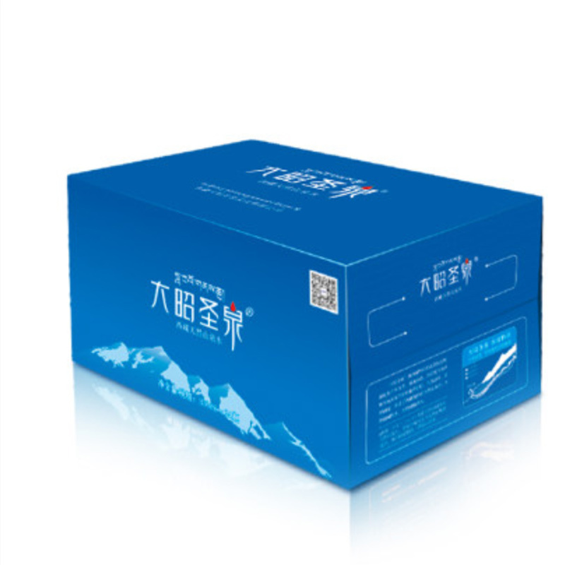 [中华特色馆]拉萨直发 大昭圣泉 纯净水饮用水矿泉水550ML*24瓶整装