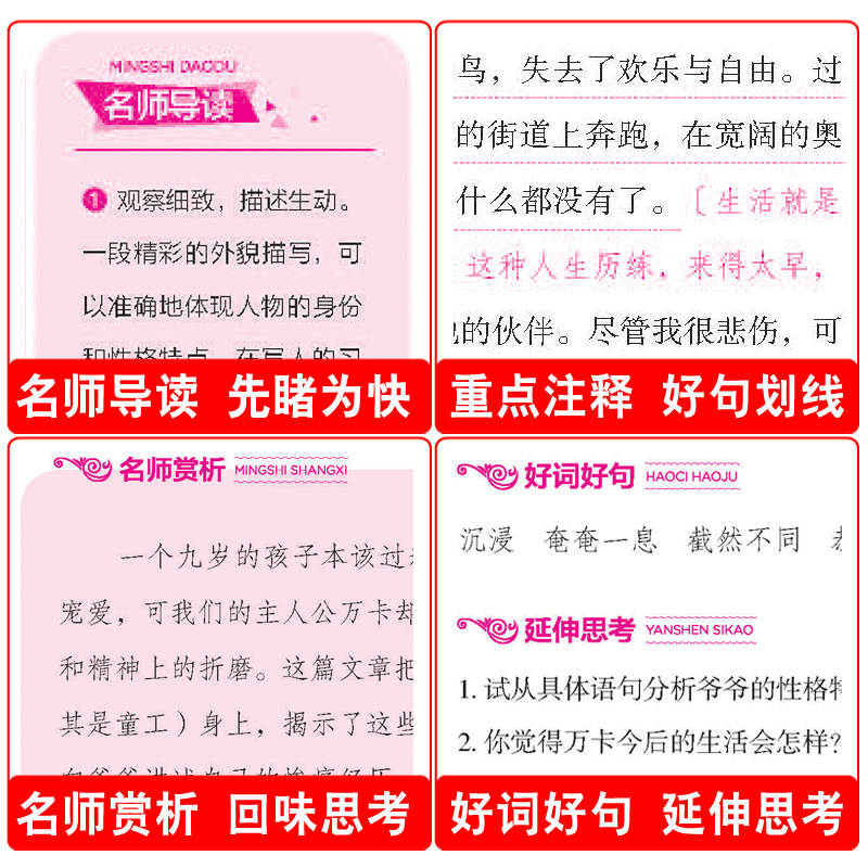 傲慢与偏见 [正版]朱自清散文集全集散文精选经典作品选读本经典书目五六年级下册小学生初中生必读课外书阅读书籍含匆匆背影商高清大图
