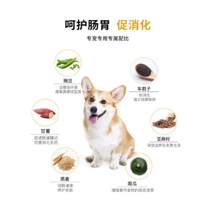 专用柯基无谷狗粮营养增肥幼犬成犬中小型犬配方狗粮2.5kg