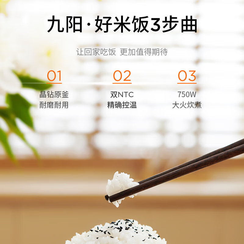 九阳 电饭煲 F30FY- F585高清大图