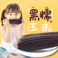 燕之坊黑糯玉米新鲜玉米棒子即食10只2.2公斤