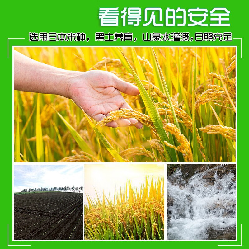 七河源 越光米5kg 东北大米2025年当季新米 寿司米 吉野家用米 日本米种高清大图
