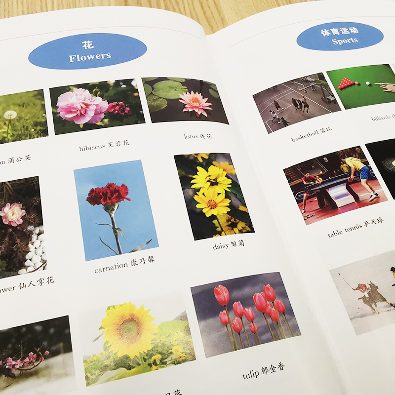 醉染图书英汉双解英语短语用法词典 修订版9787557910136高清大图