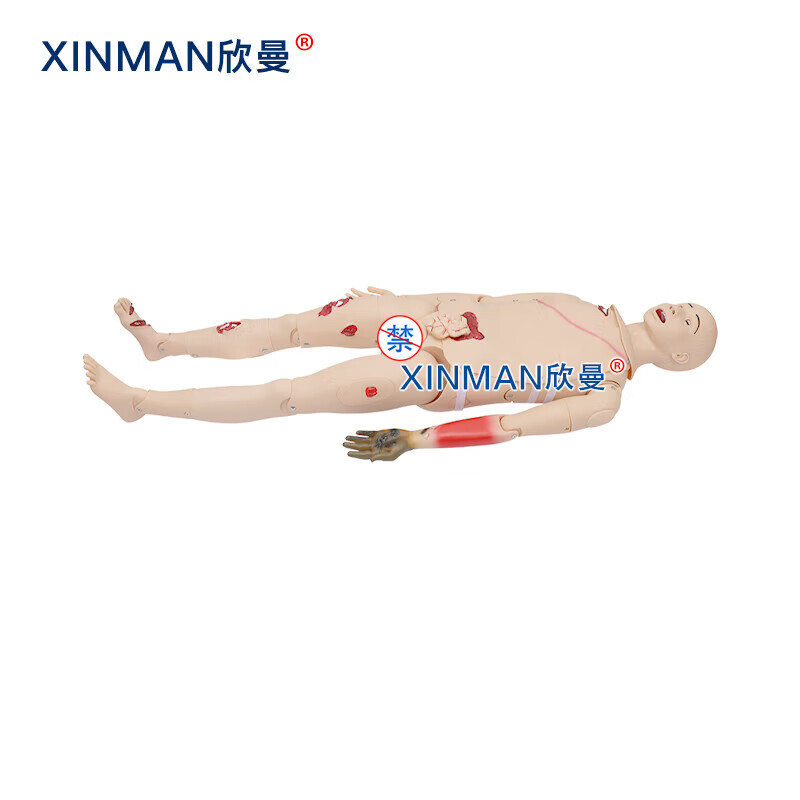 欣曼科教 基础伤情模拟人 全功能创伤包扎止血救护人体模型XM-Y1011高清大图