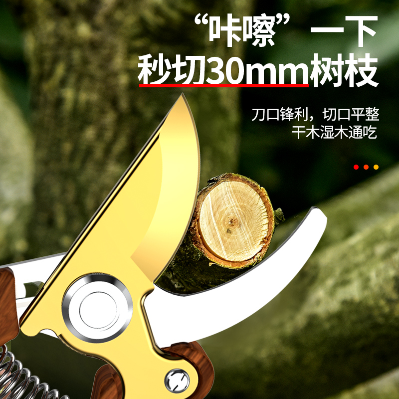 修枝果树修剪树枝园艺剪枝剪刀花艺工具修花粗枝园林家用大力剪子宠弗参数配置 规格 性能 功能 苏宁易购