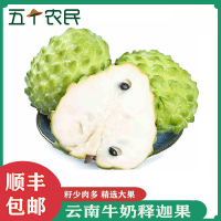 [五个农民]云南牛奶释迦果 顺丰1斤大果单果250-350g番荔枝现摘摩尼佛头果