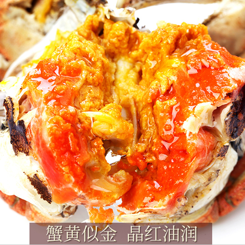 [活蟹]缘蟹汇牌大闸蟹6888型 公蟹6.0两/只 母蟹4.0两/只 5对10只 去绳净重 生鲜活蟹 中秋礼品