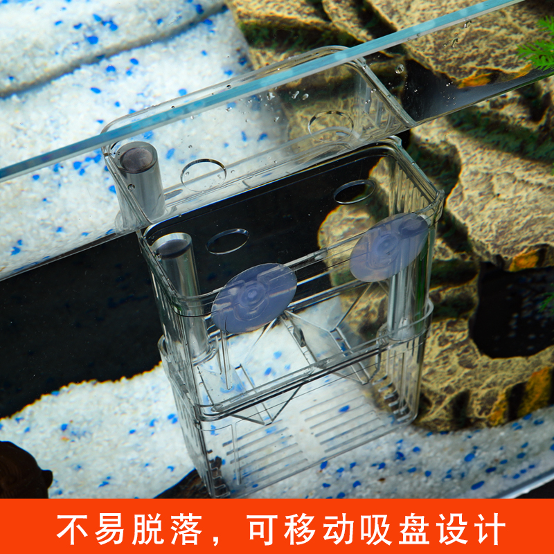 孔雀鱼繁殖盒鱼缸非亚克力隔离盒特大号产卵孵化产房小鱼苗幼大鱼高清大图